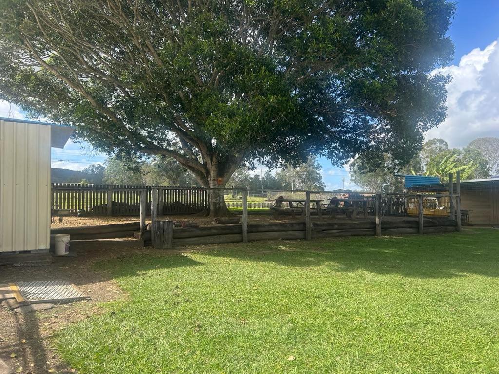 Gundy Pub & Caravan Park Gundiah エクステリア 写真
